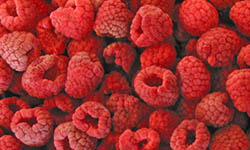 Proizvod od maline, d/z malina roland miker