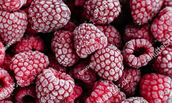 Proizvod od maline, d/z malina rolant Wilamet