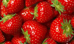 Proizvod od jagode, d/z jagoda roland