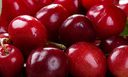 Proizvod od visnje, d/z visnja Rolend